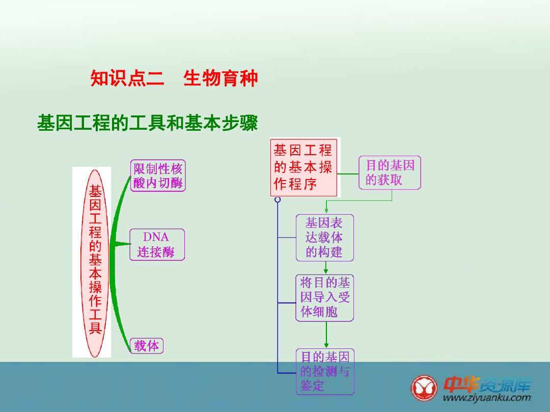 2016屆湖南長(zhǎng)沙長(zhǎng)郡中學(xué)高三生物一輪復(fù)習(xí)課件:人類遺傳病與生物育種(